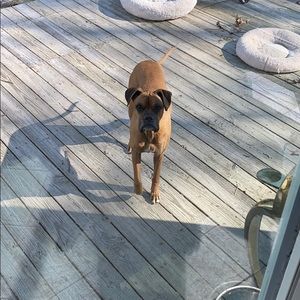 Meet your Posher, Susannah